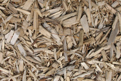 biomass boilers Binley Woods